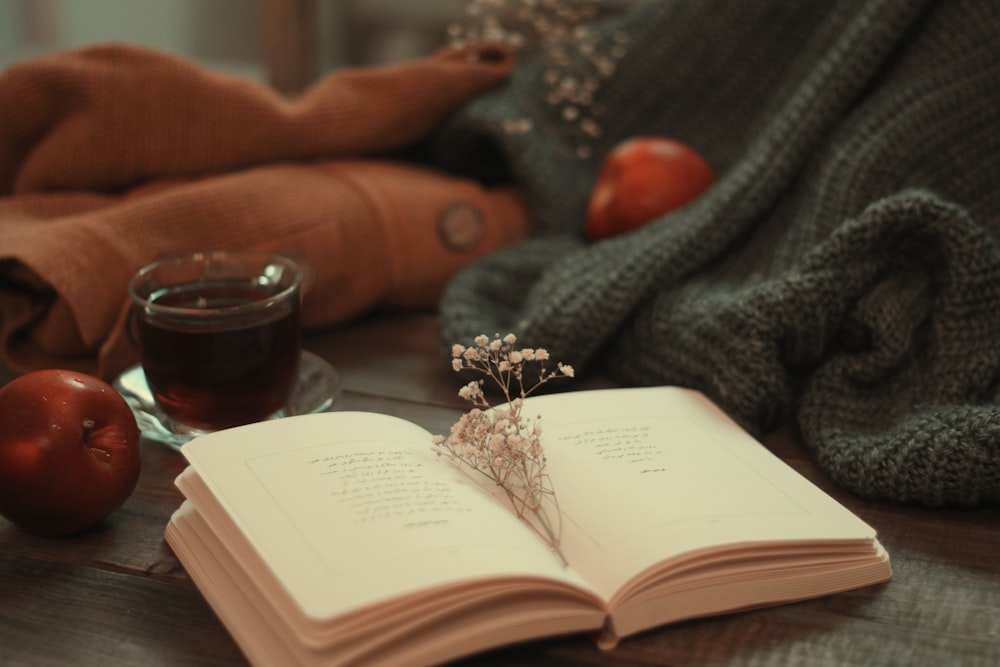 silver and diamond ring on book page