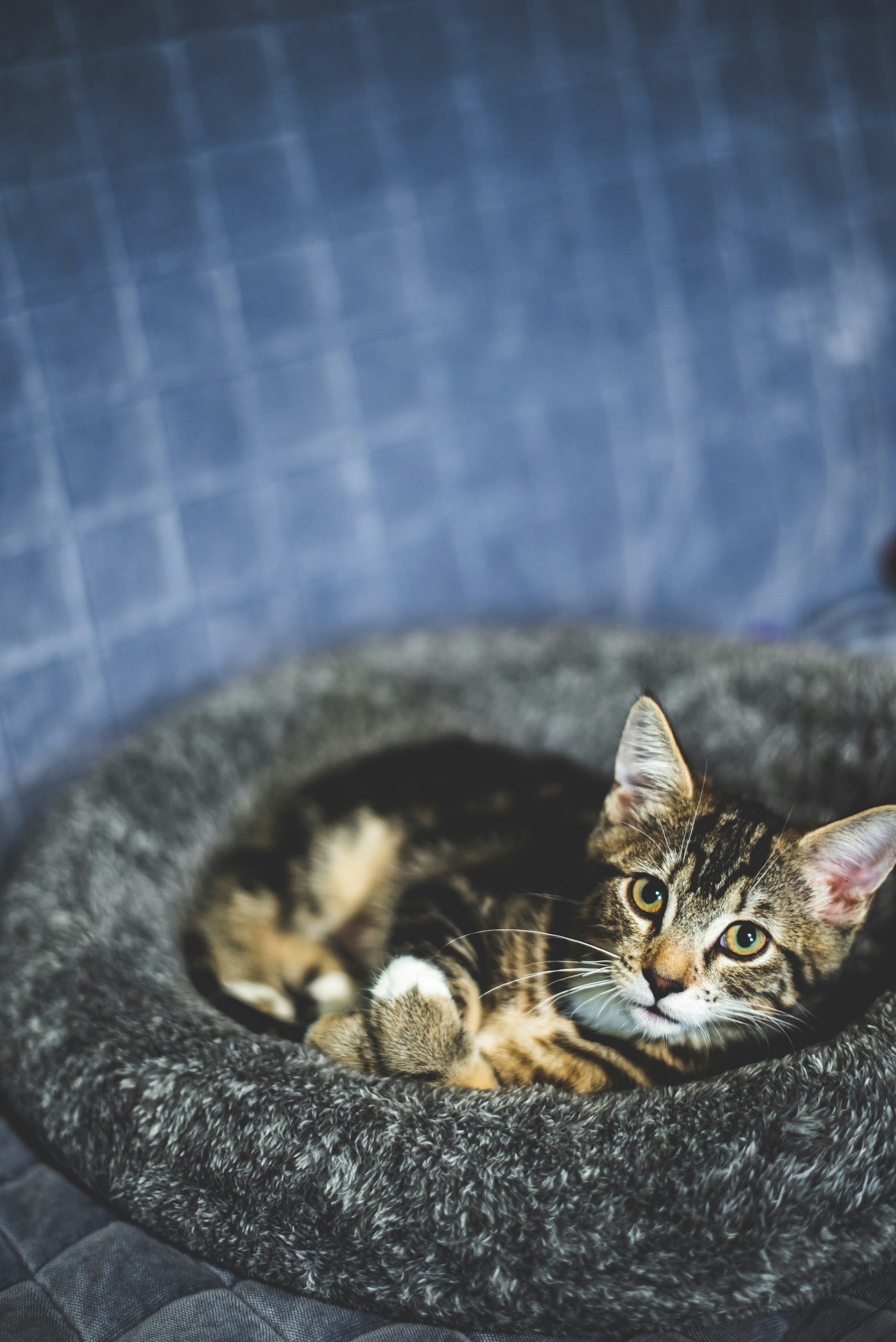 Photo by ryunosuke_kikuno