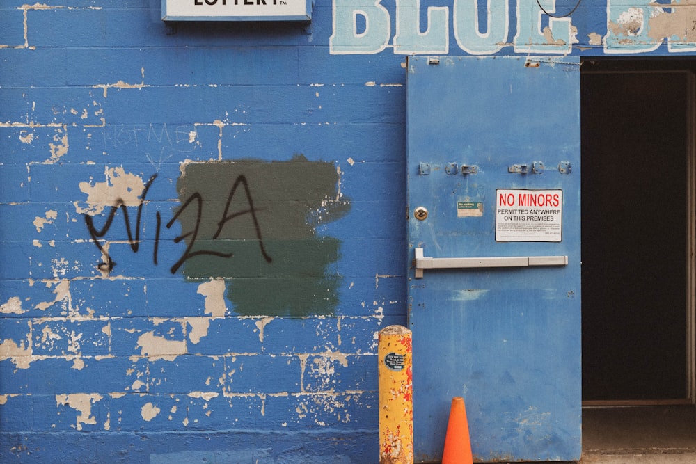 blue and white wooden door