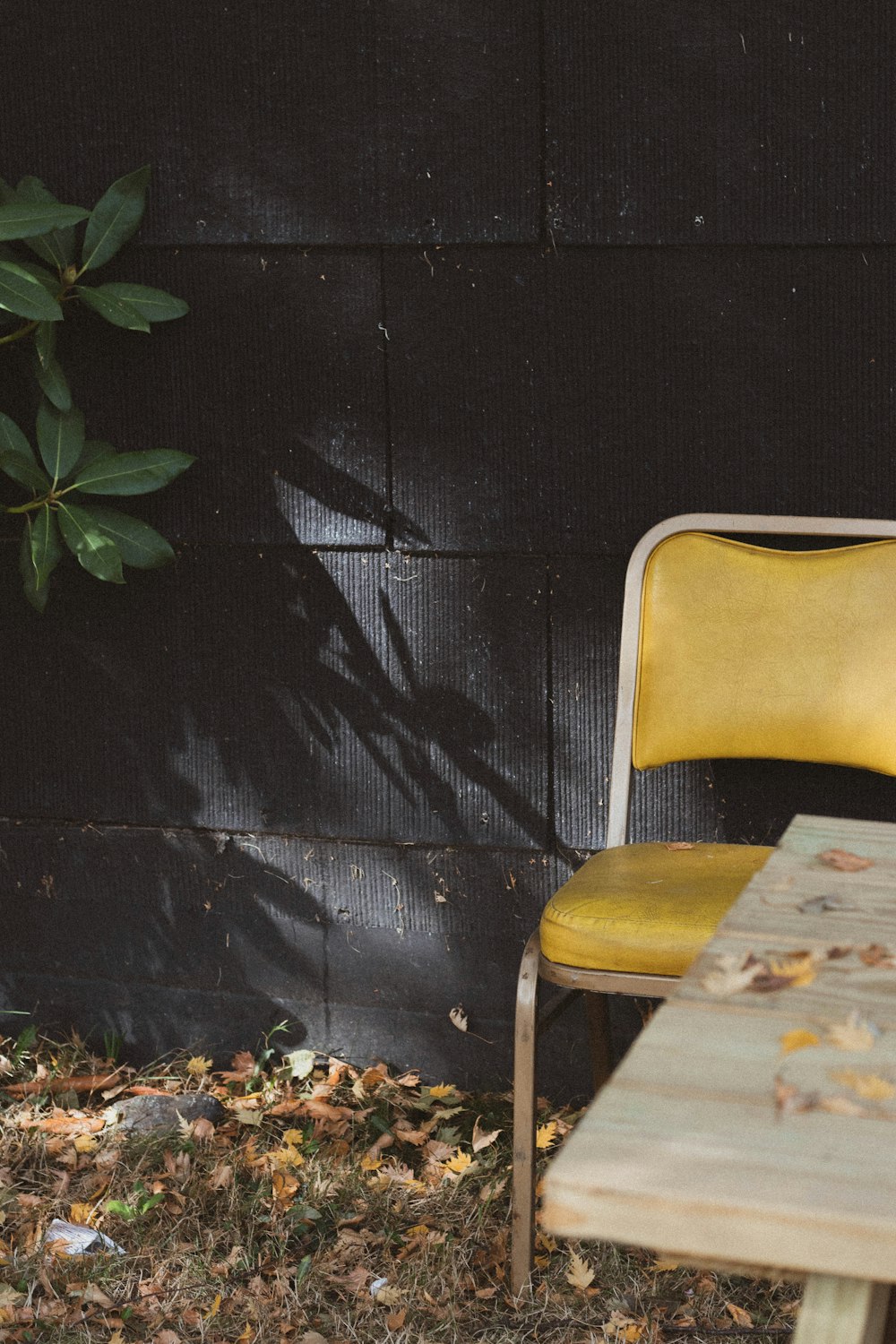 white chair beside green plant