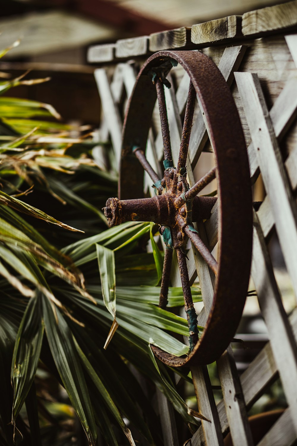 roue en bois marron avec des feuilles vertes