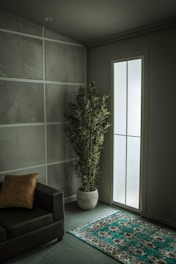 A minimalist interior space featuring a dark green sofa with a brown cushion, a potted plant, a patterned rug with teal and brown colors, and a frosted glass door allowing light to filter in. The setting has a calm and serene ambiance.