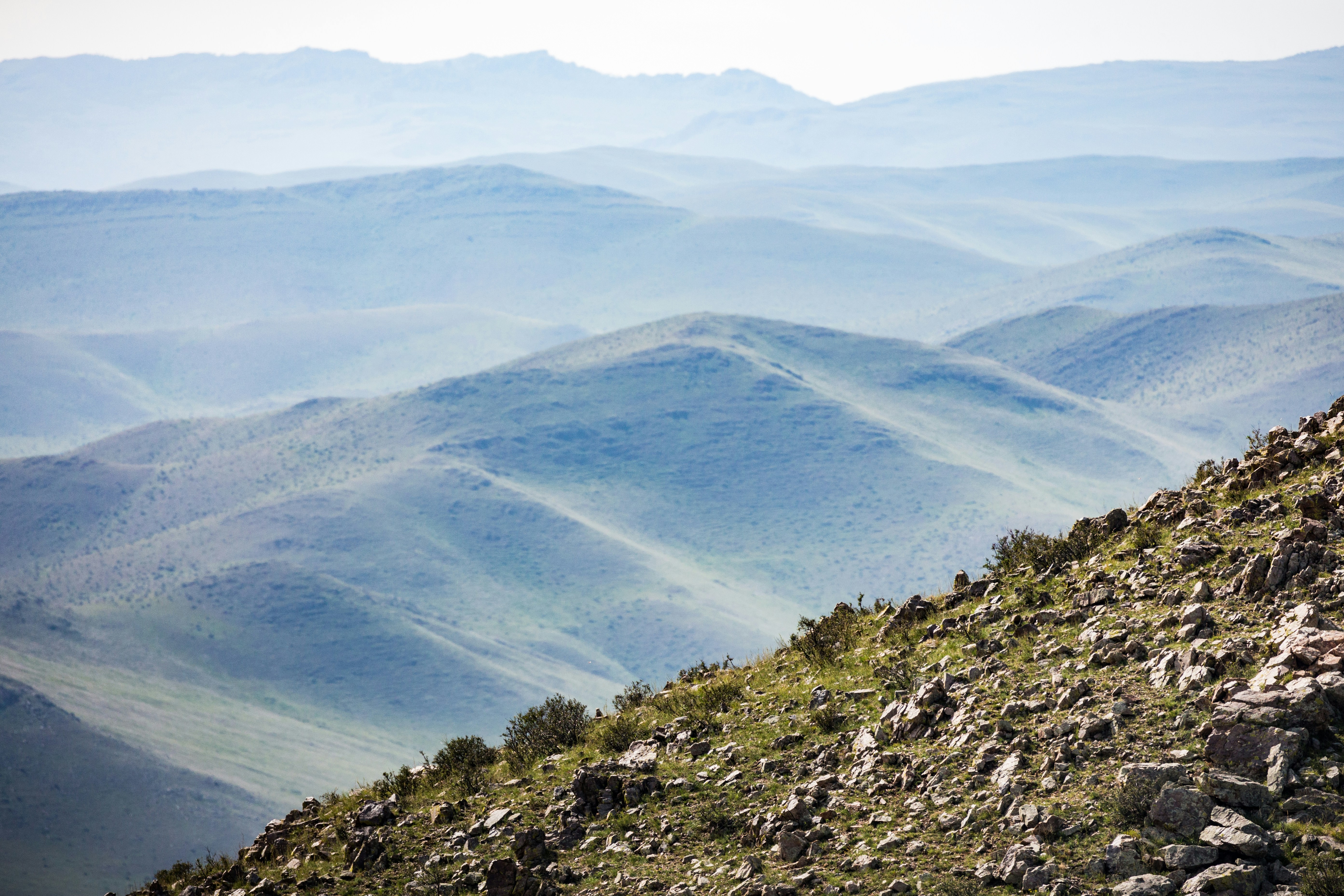 Photo by joshuaalandavis