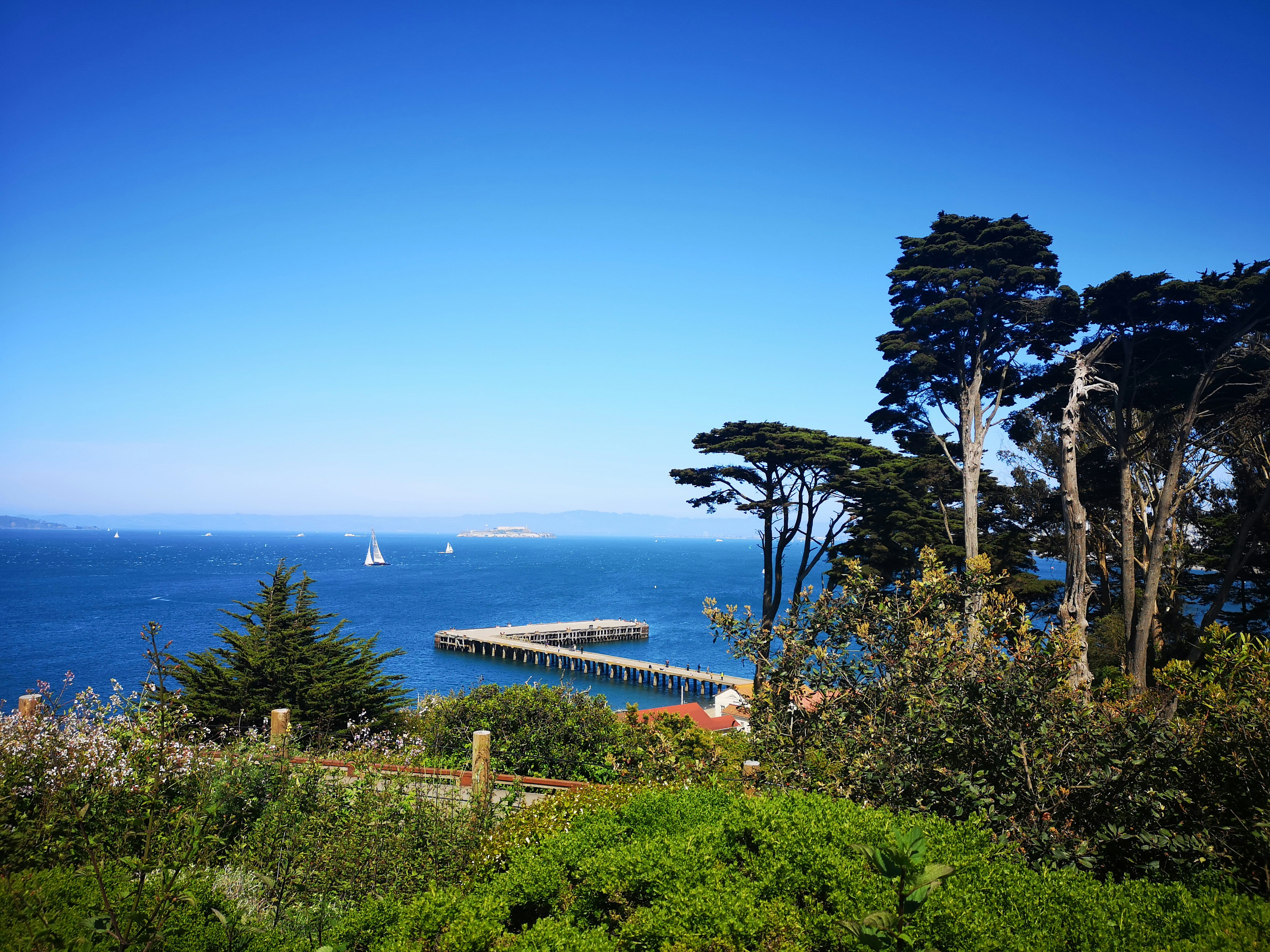 San Francisco Botanical Garden photo 3