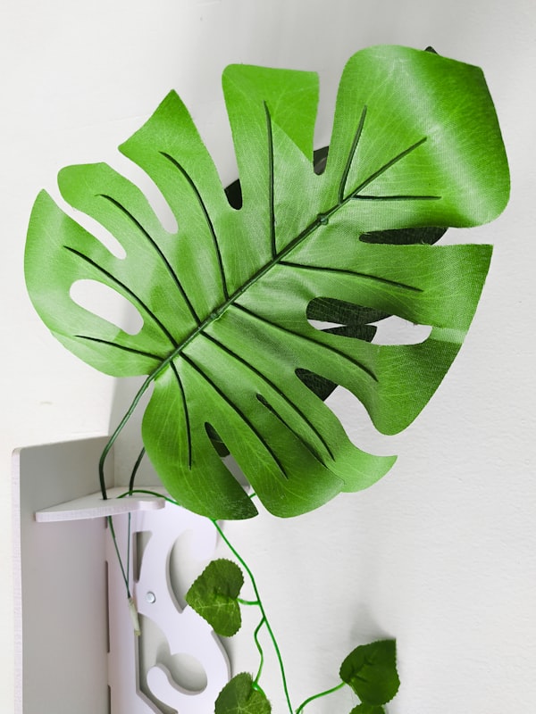 Arranjo Trepadeira Folha HERA + Vaso Decorativo — Verde Permanente para sua Casa