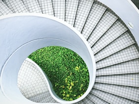 green grass on white spiral staircase