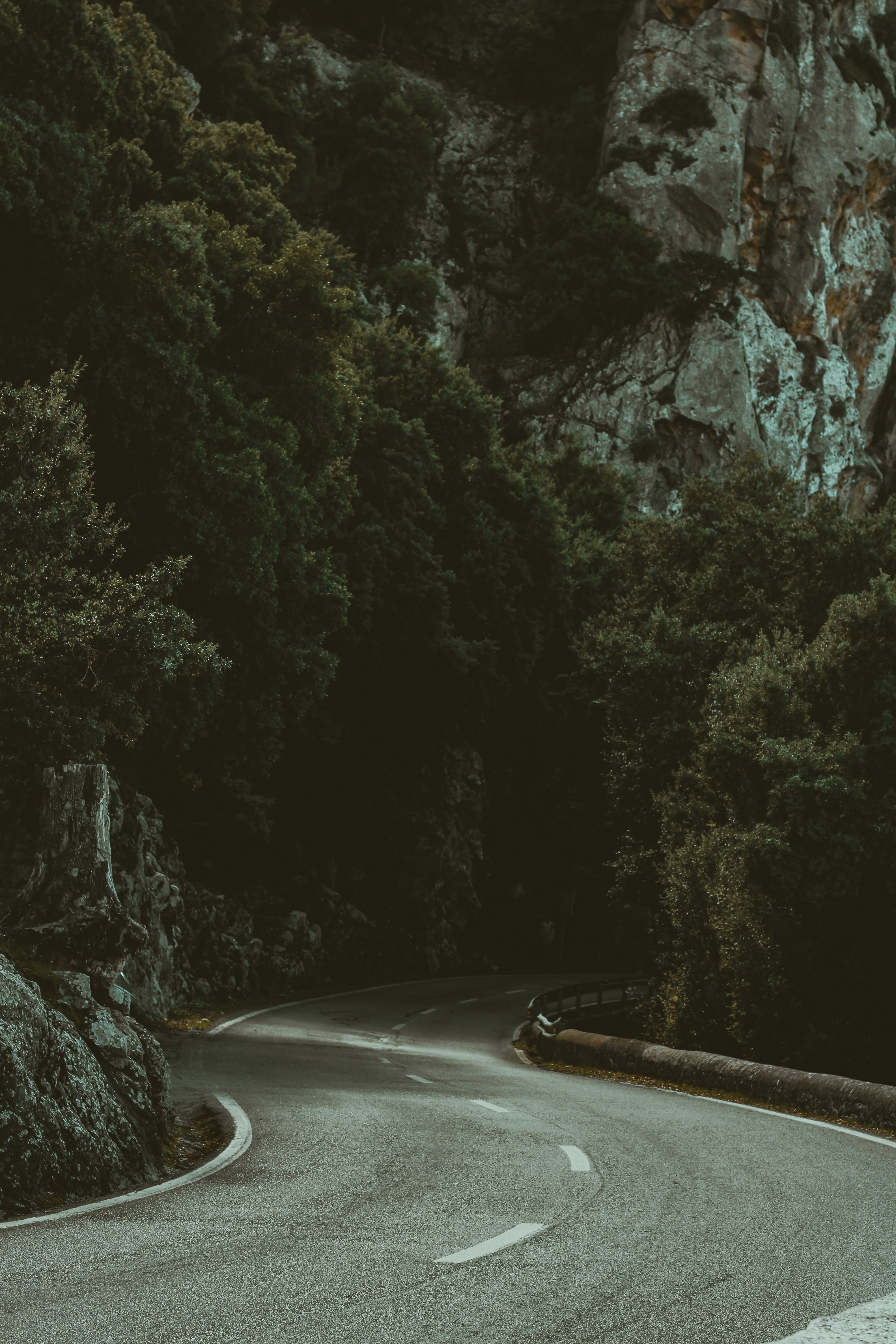 Photo by jorgeromann