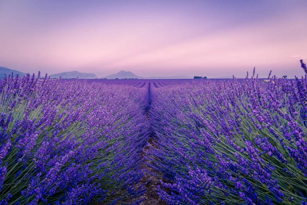 Provence