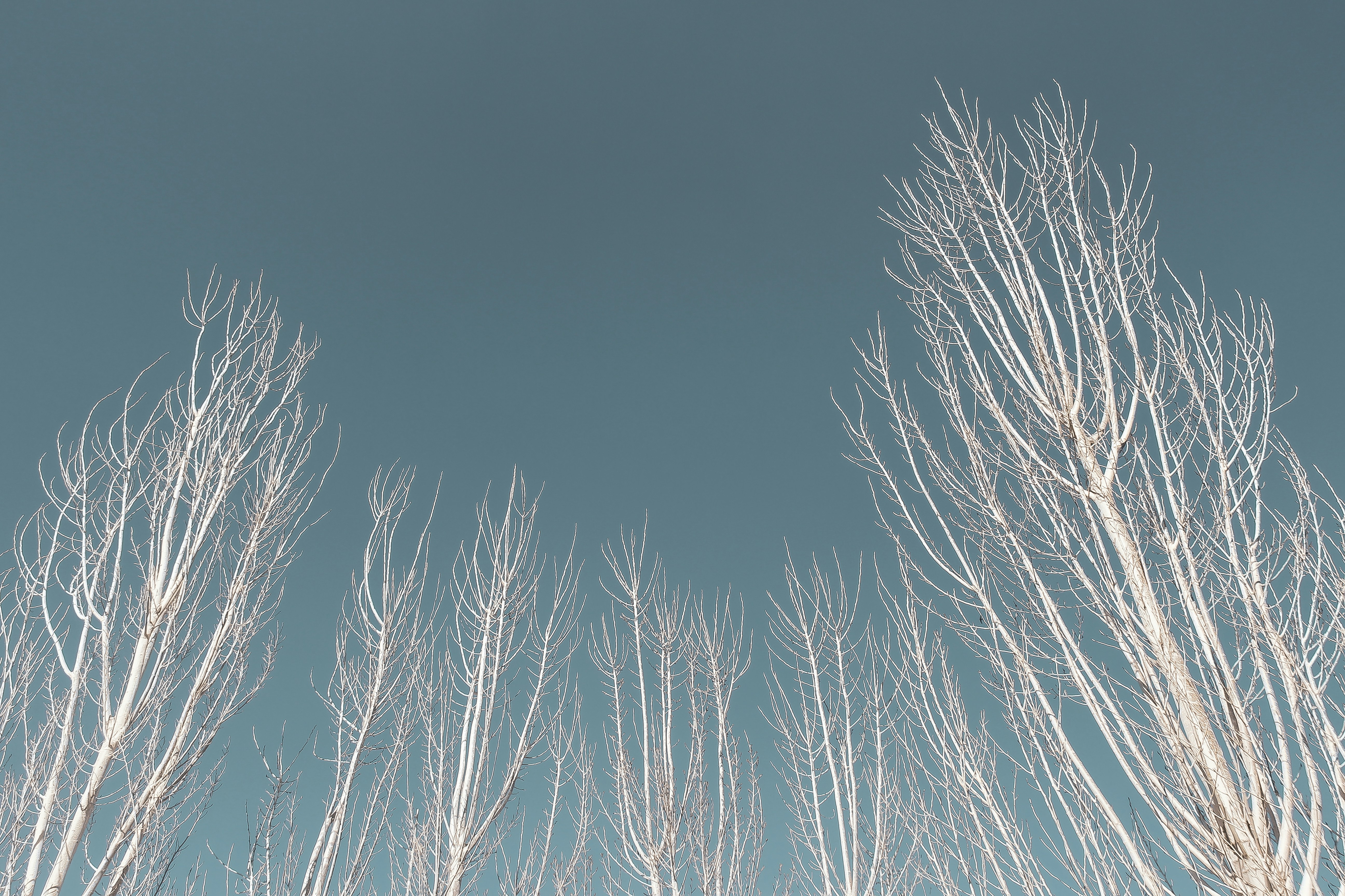 Photo by dreamwatcherx