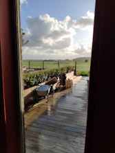 A professional inspecting a freshly painted deck under a bright Illinois sky, showcasing local expertise.