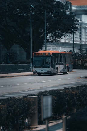 A public bus with the route number 195 is traveling on a tree-lined street in an urban area. The scene includes buildings with classical architecture in the background, and there are no other vehicles or pedestrians visible on the road.