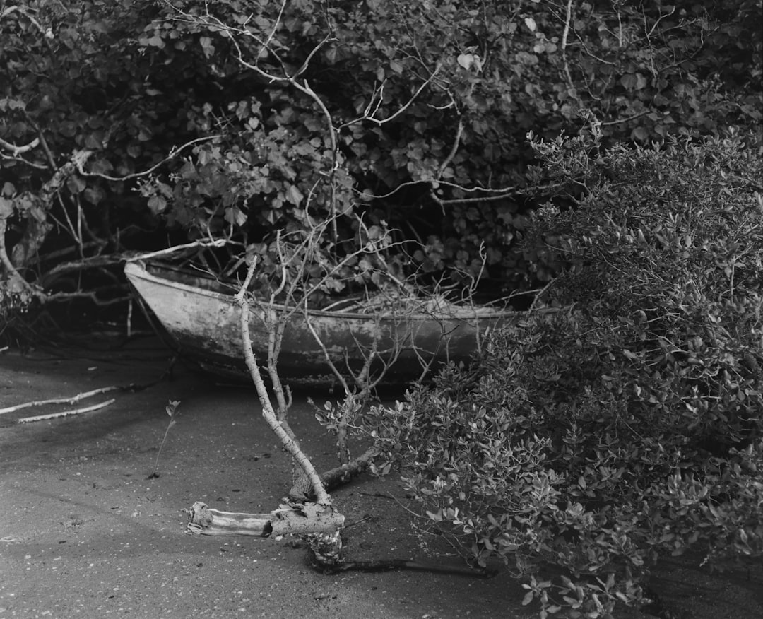 grayscale photo of a boat on a river