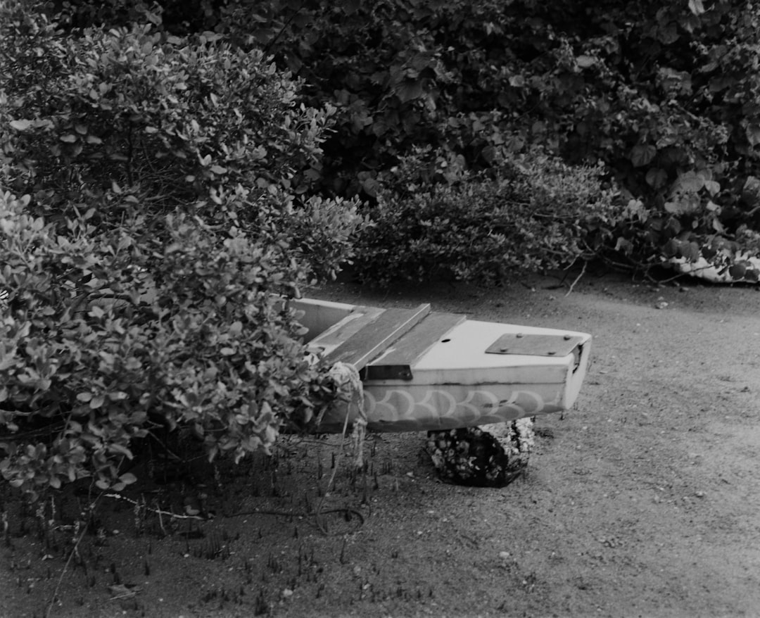 grayscale photo of bench near trees