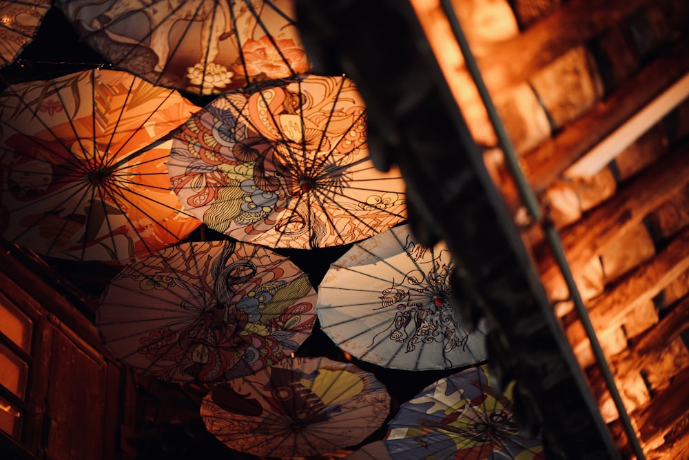 red and green umbrella during sunset