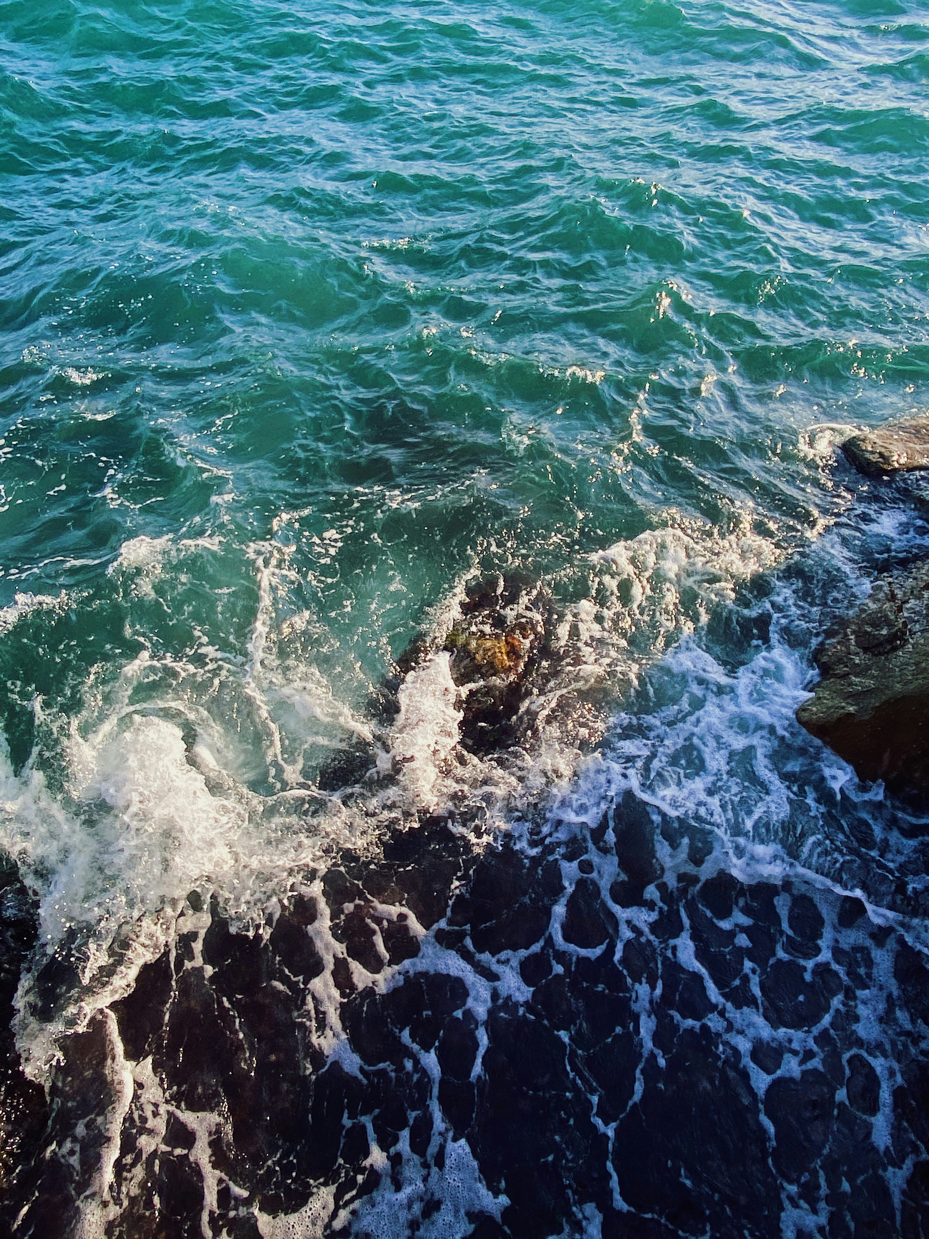 Photo by paulacrespos14