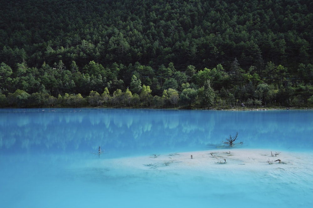 people swimming on blue sea during daytime