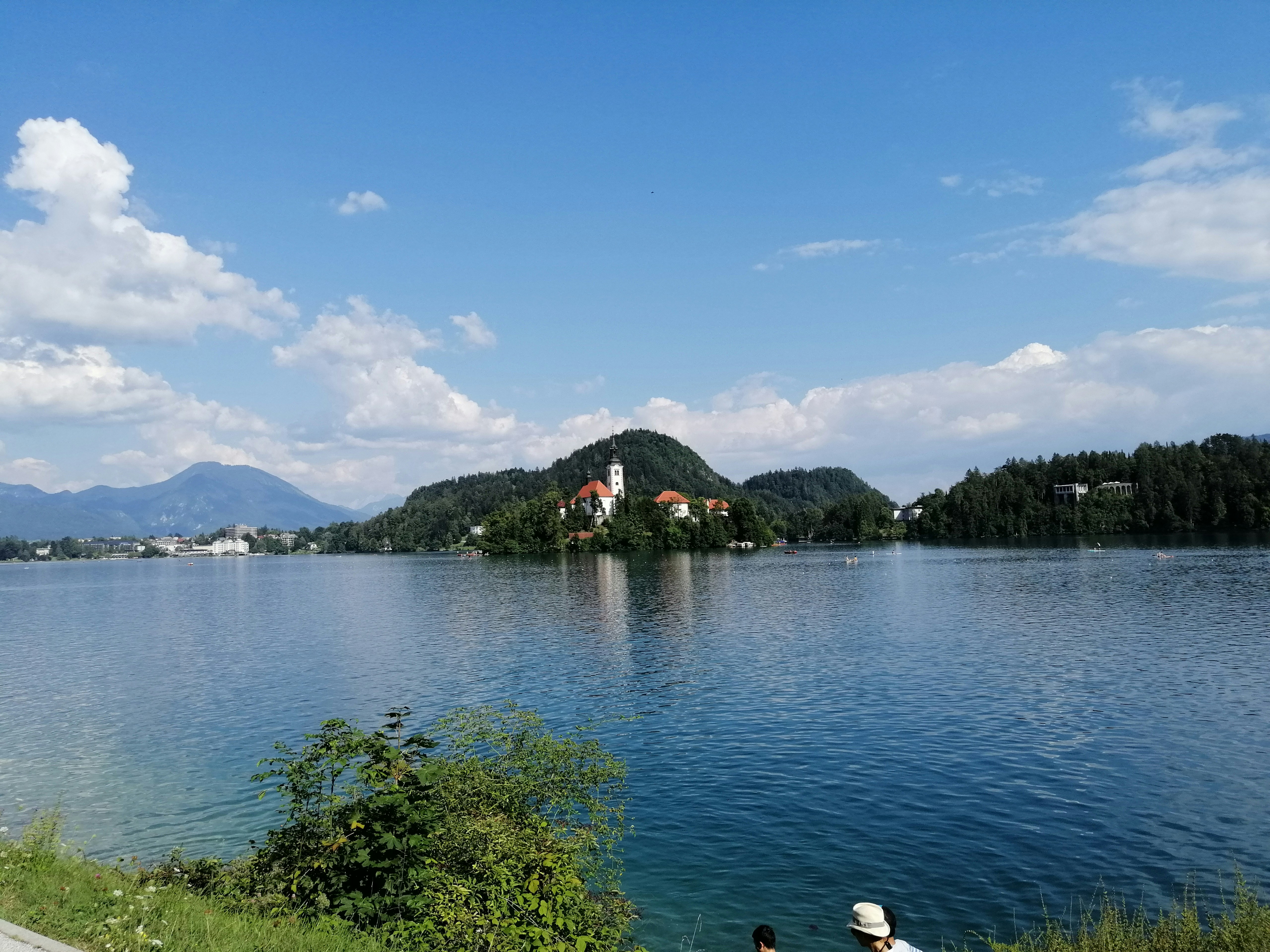 green trees near body of water under blue sky during daytime