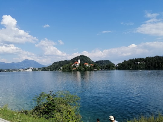 green trees near body of water under blue sky during daytime in Straza hill above Lake Bled Slovenia