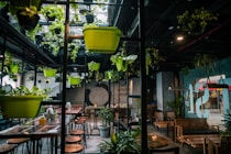 green plastic container on brown wooden table