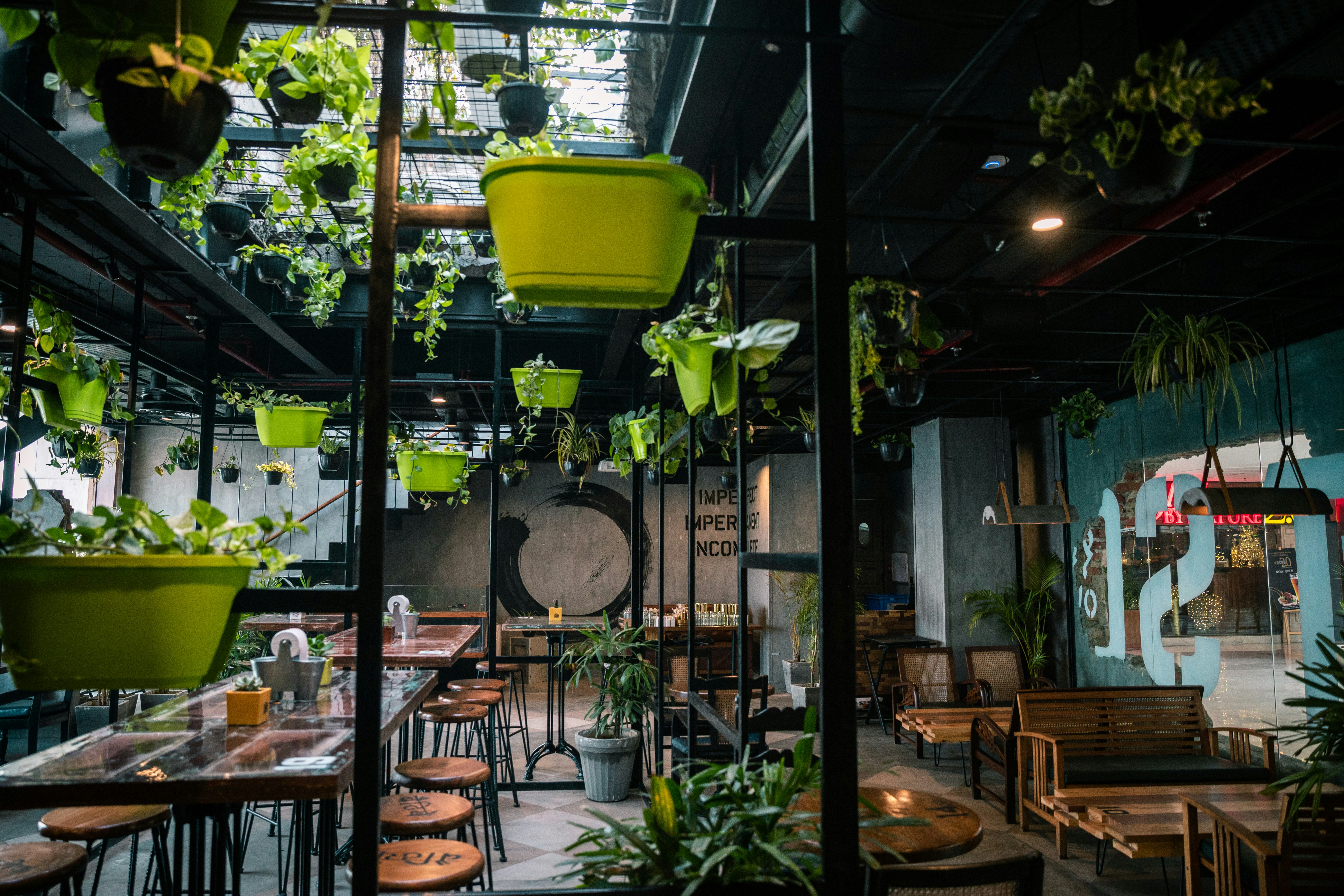 https://images.unsplash.com/photo-1600765728673-7b4aa76cc3ce?ixid=M3w2MjYzNjJ8MHwxfHNlYXJjaHw4fHxwbGFudC1iYXNlZCUyMHJlc3RhdXJhbnR8ZW58MHwwfHx8MTc3OTk4ODA0OXww&ixlib=rb-4.1.0