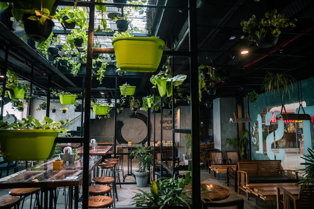 récipient en plastique vert sur une table en bois marron