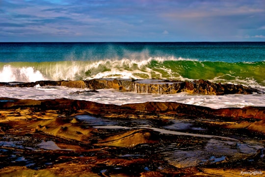 brown rock formation near sea during daytime in Apollo Bay VIC Australia