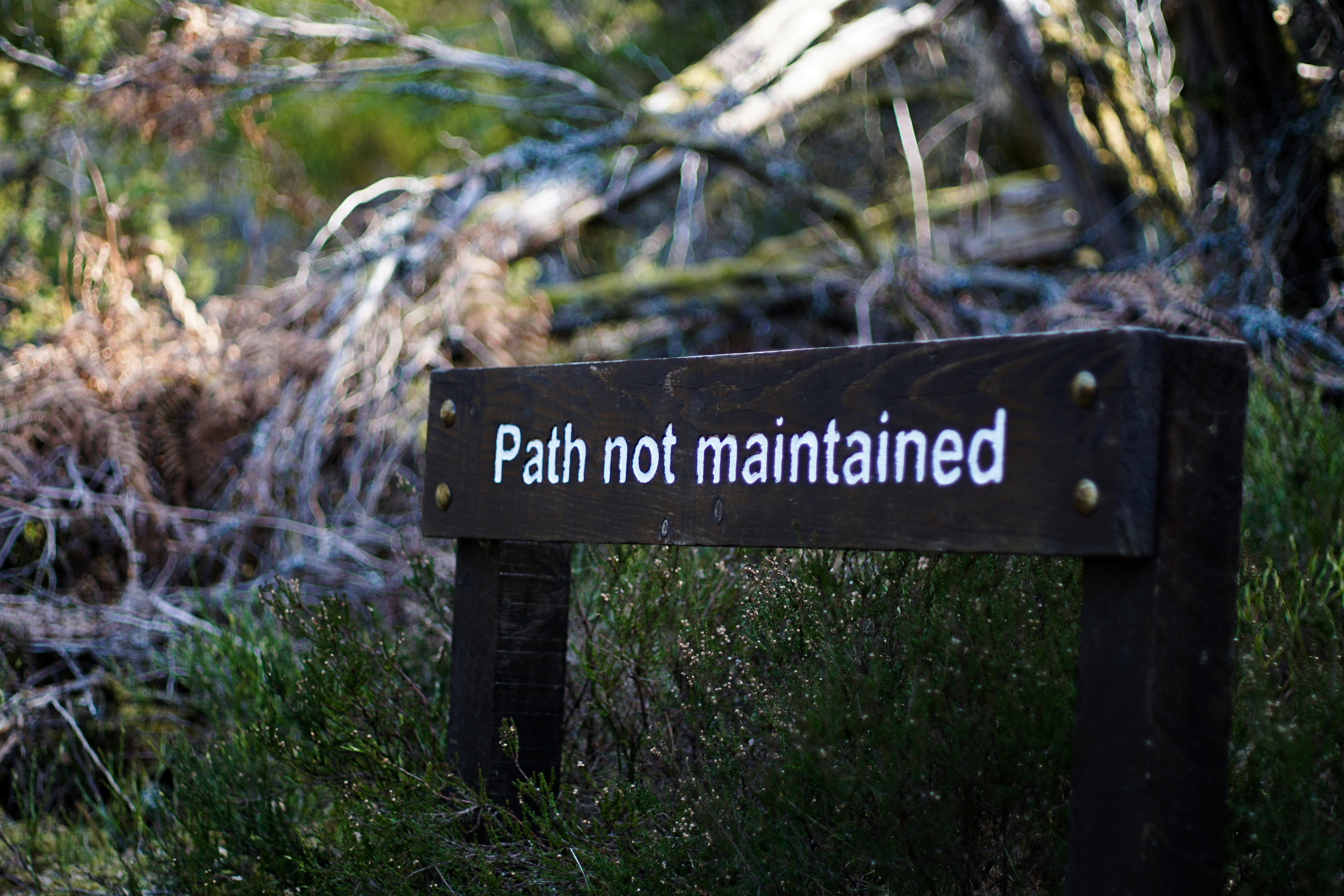 brown wooden signage on green grass during daytime