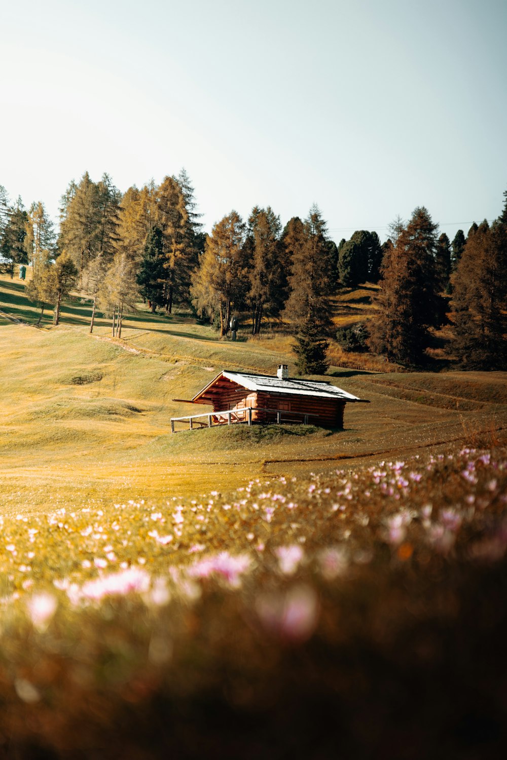 Braunes Holzhaus auf grünem Grasfeld in der Nähe von grünen Bäumen tagsüber