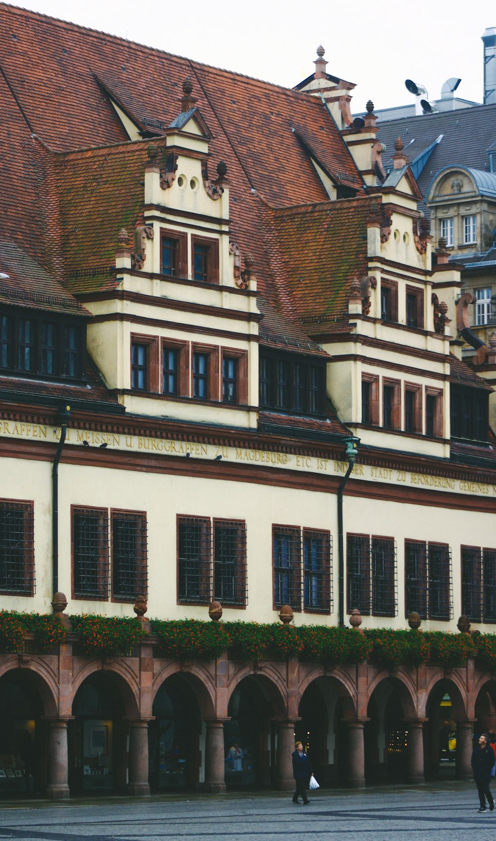 edificio in cemento bianco e marrone