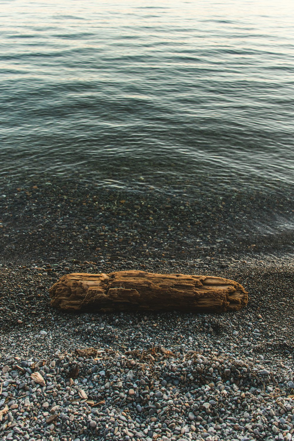 brown wood log on gray sand
