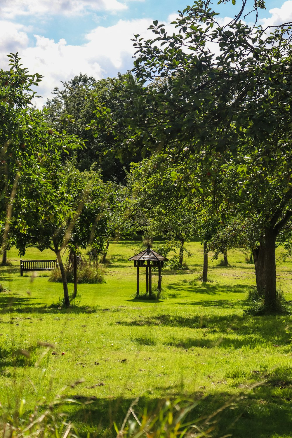 green grass field with green trees