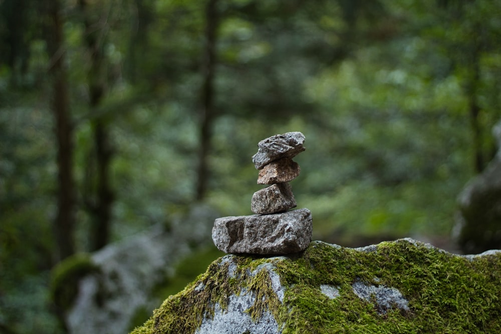 gray stone stack on gray rock