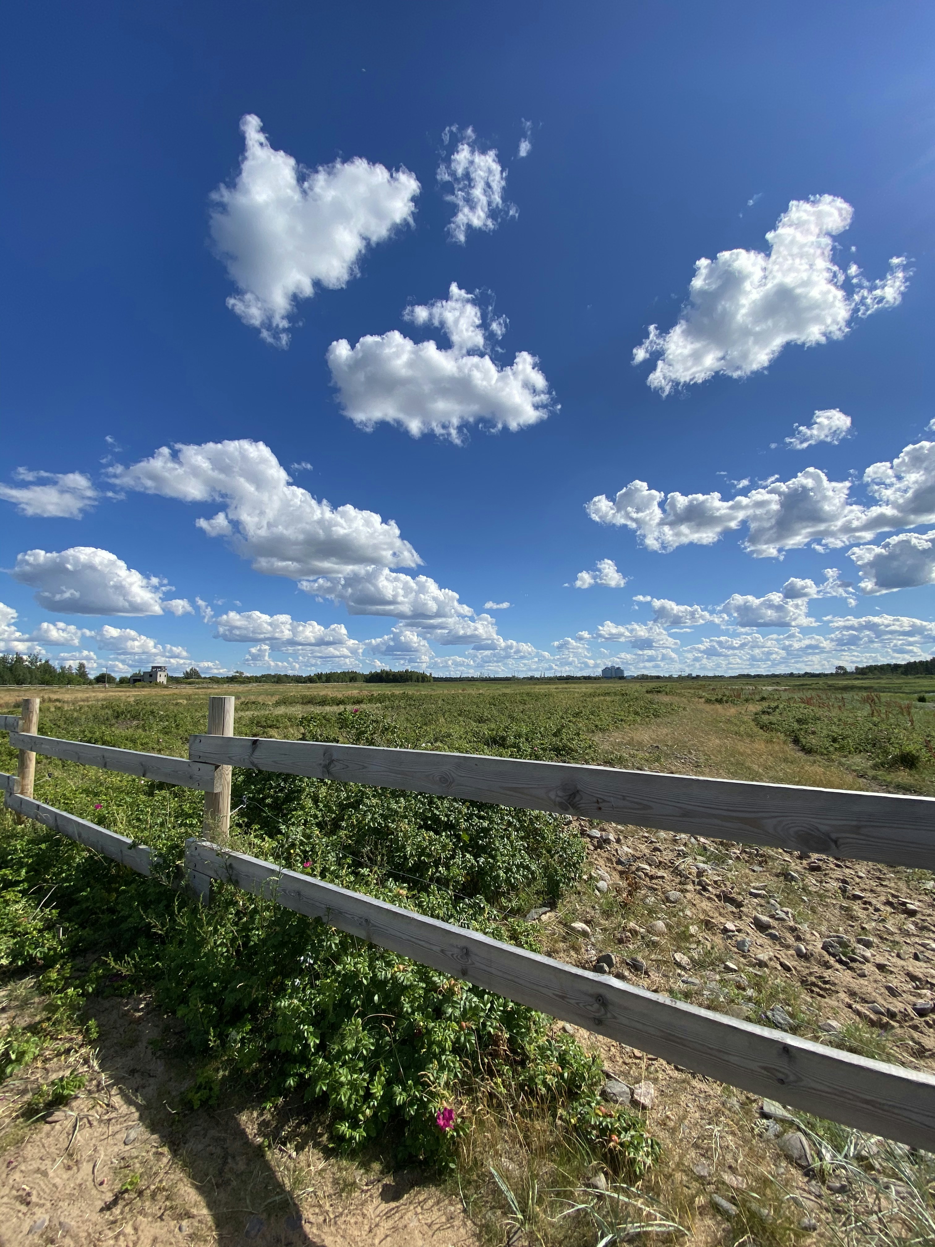 valla de madera marrón bajo el cielo azul y las nubes blancas durante el día