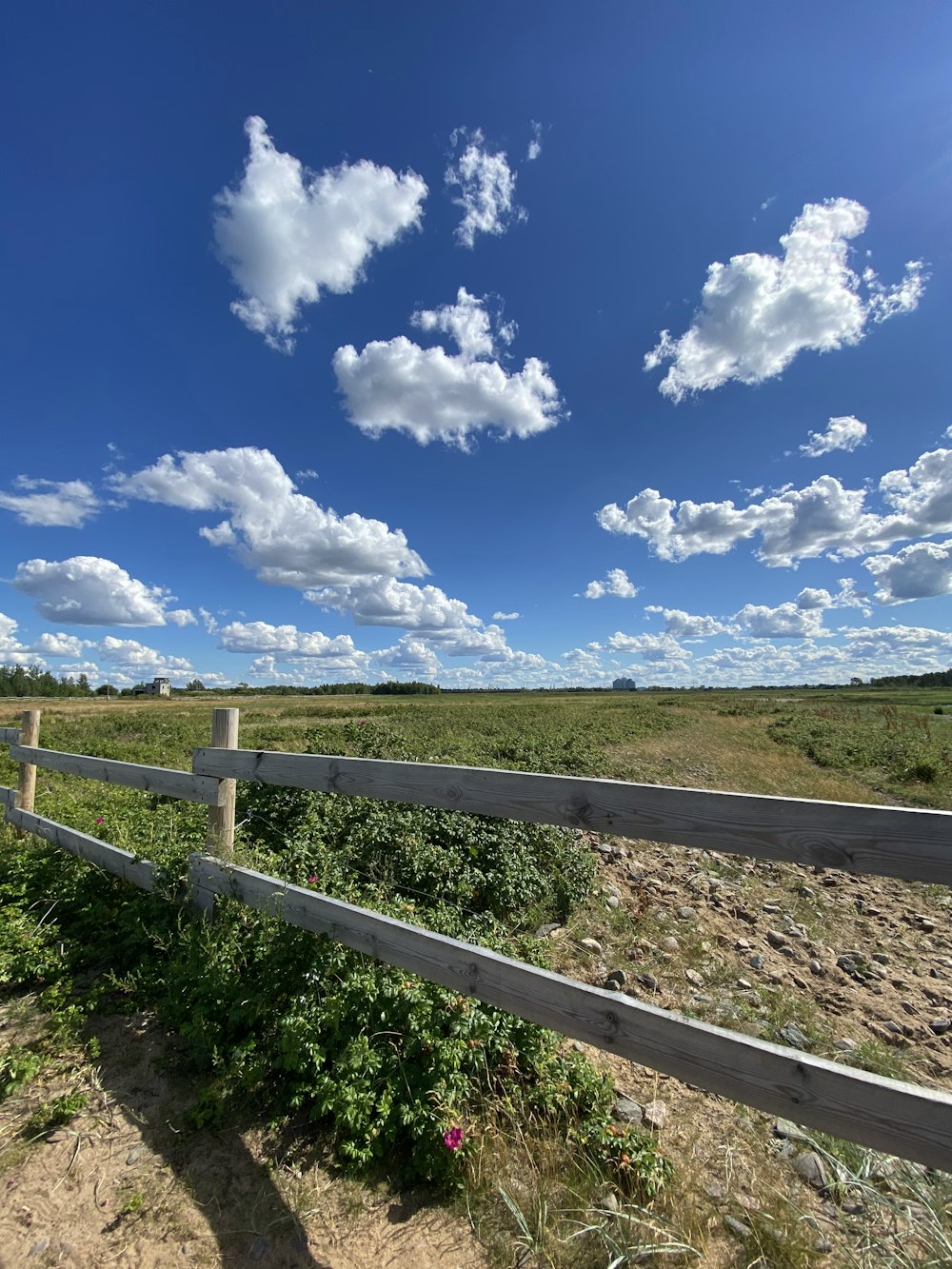 brown wooden fence under blue sky and white clouds during daytime