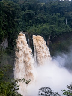 waterfalls in the middle of the forest during daytime