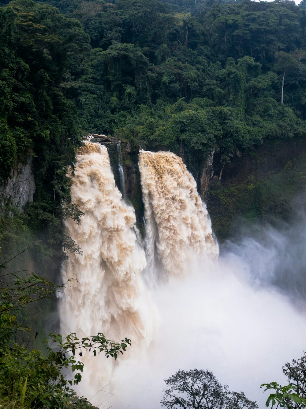 waterfalls in the middle of the forest during daytime