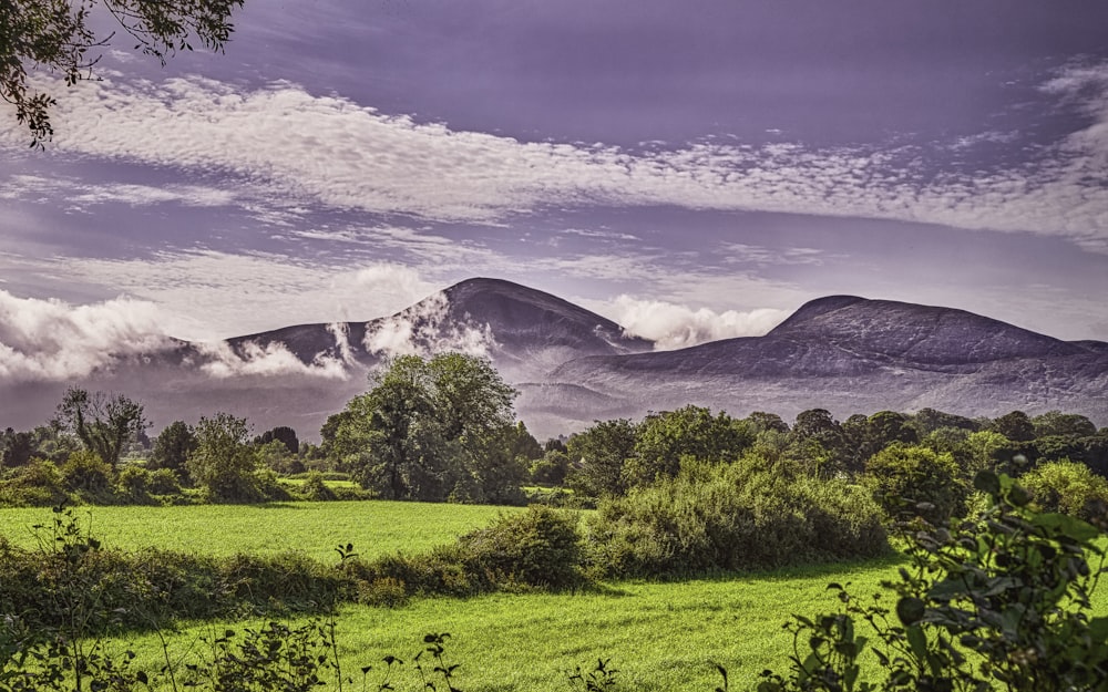 green grass field near mountain under white clouds during daytime