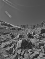 A group of yaks with long, shaggy fur resting on a rocky mountain terrain under a clear sky. The surrounding landscape includes rugged mountains and scattered rocks with patches of grass. The lighting and shadows accentuate the terrain's texture.