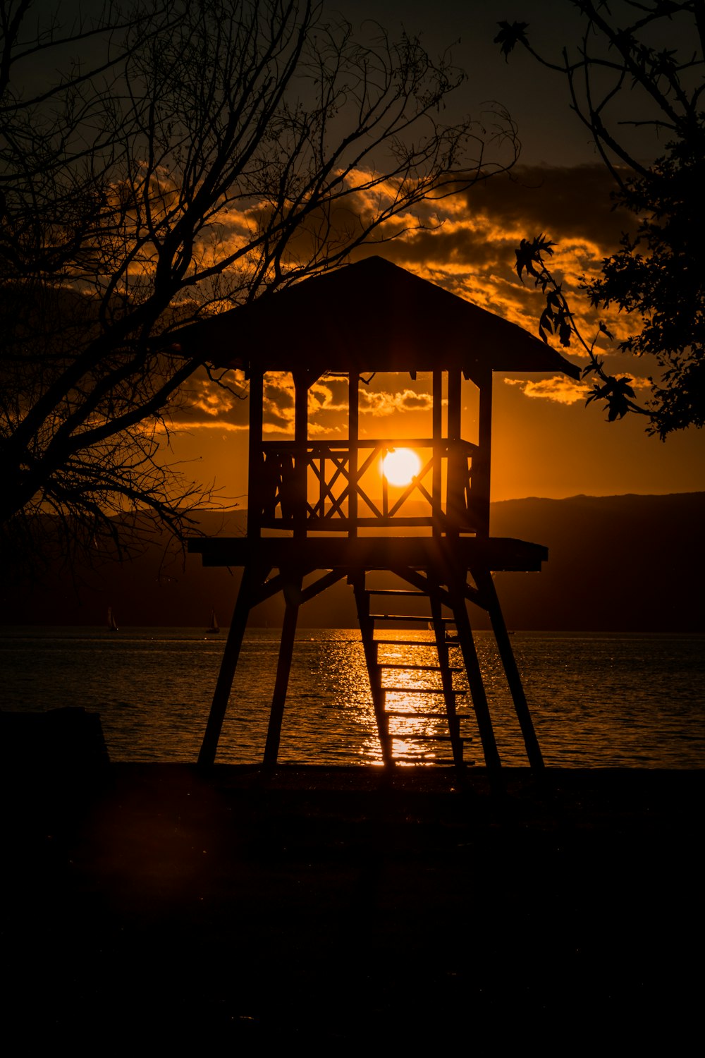 silhouette of tree near body of water during sunset