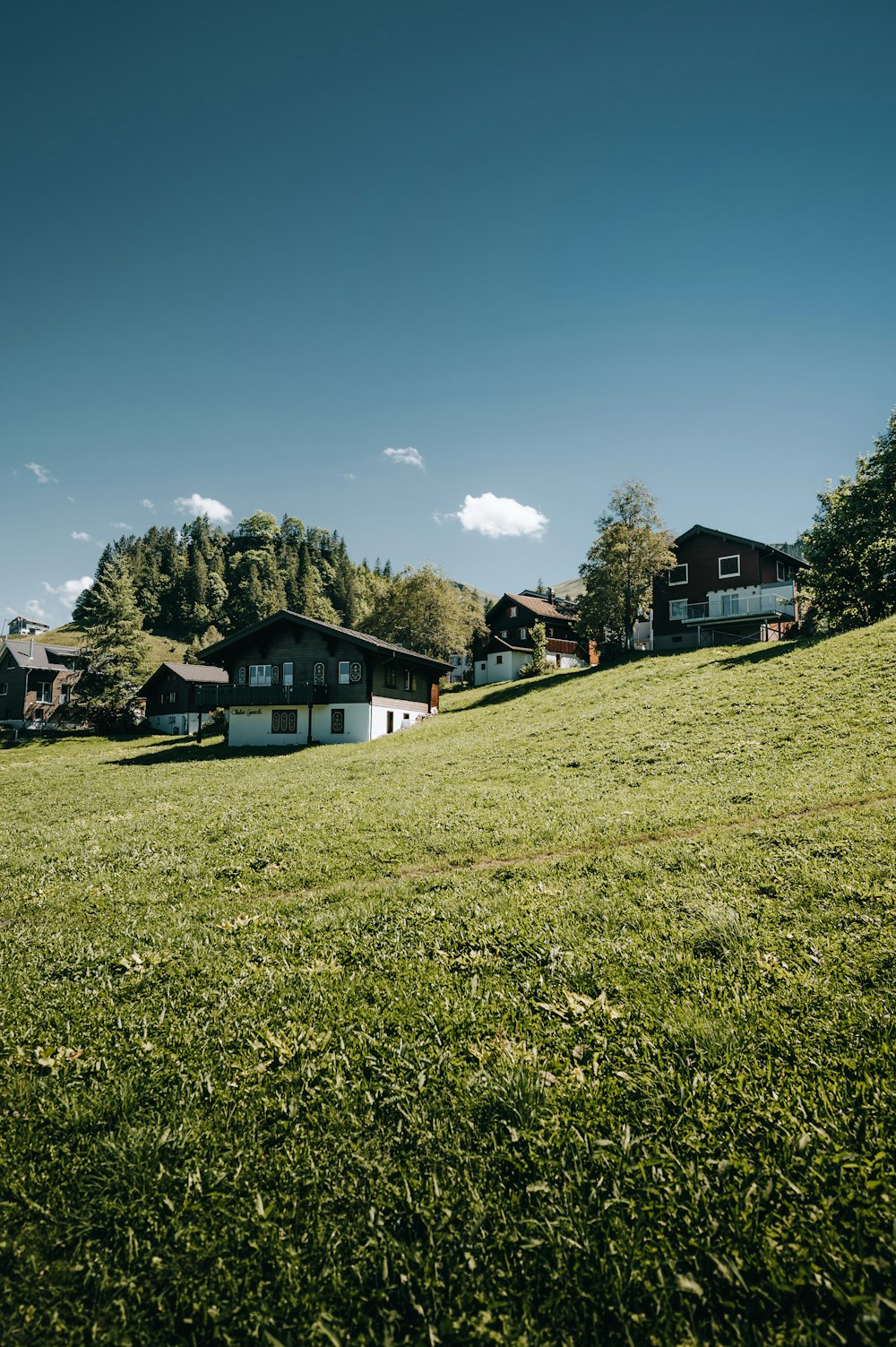 Menschen, die tagsüber auf einem grünen Grasfeld in der Nähe des weißen und schwarzen Hauses unter blauem Himmel spazieren gehen