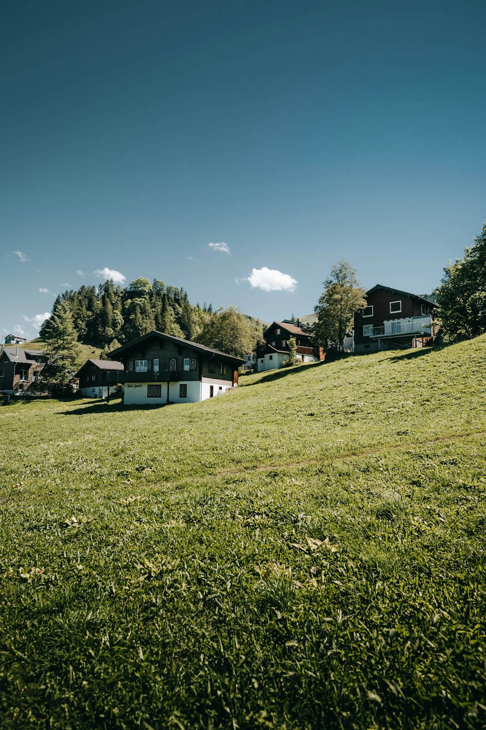 people walking on green grass field near white and black house under blue sky during daytime