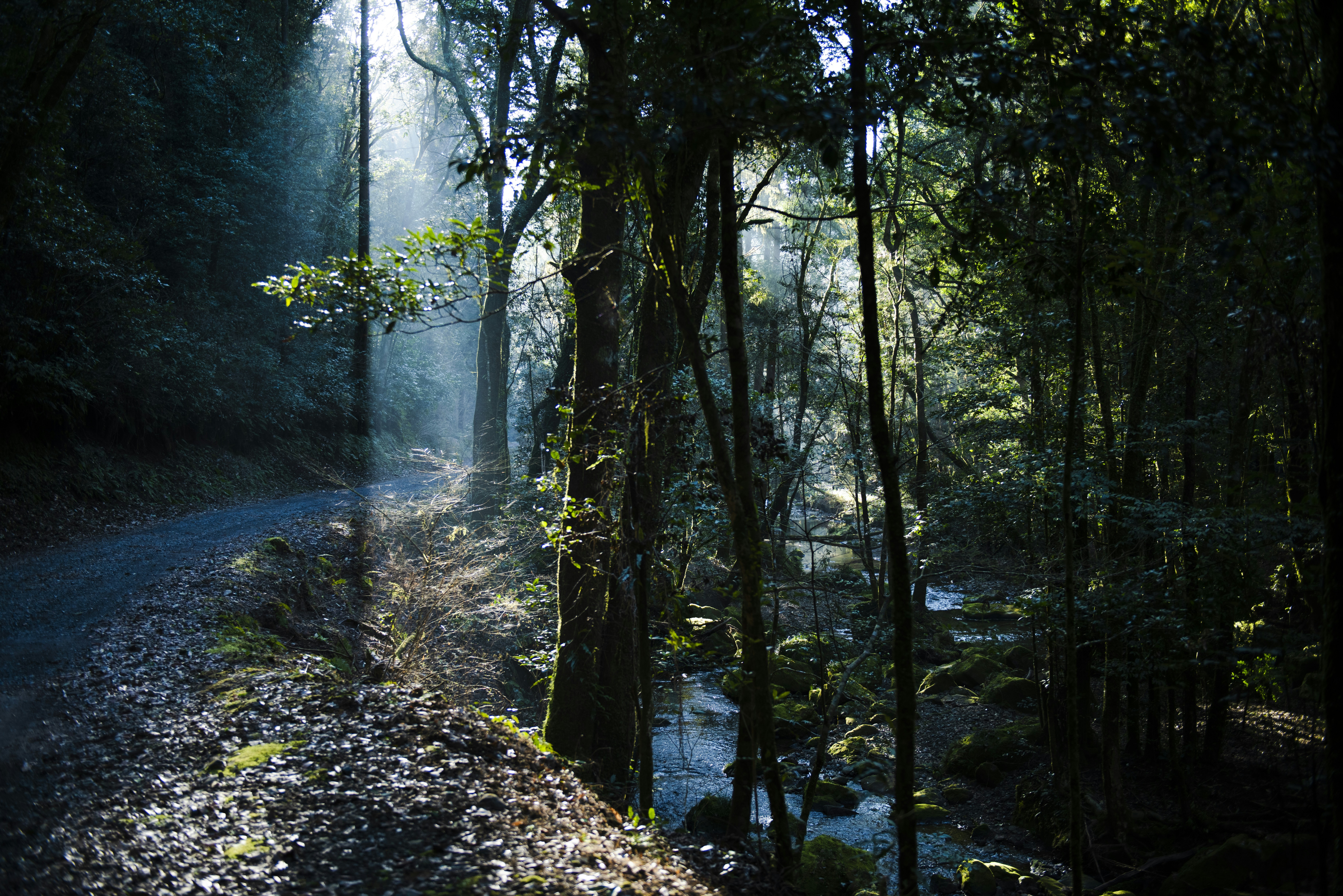 Photo by moreau_tokyo