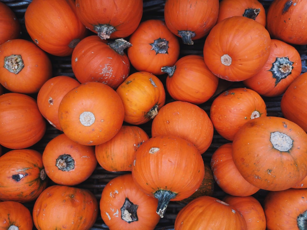 orange pumpkins on the ground