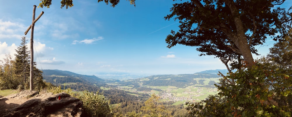 green trees on mountain under blue sky during daytime