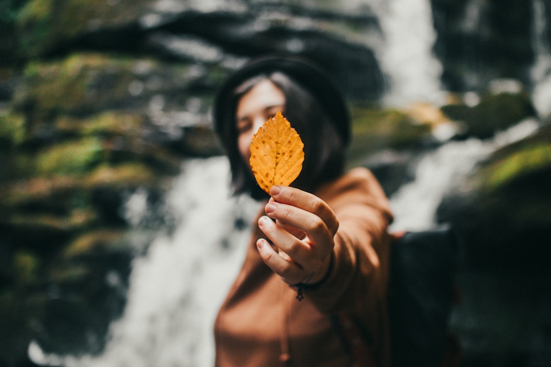 person holding yellow leaf during daytime