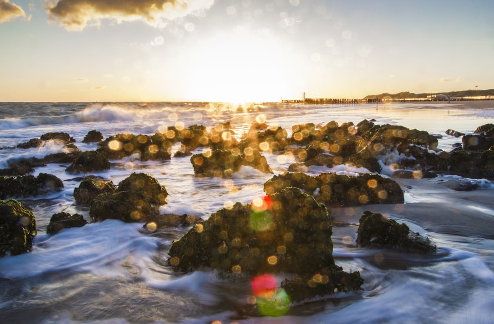 rocks on body of water during daytime