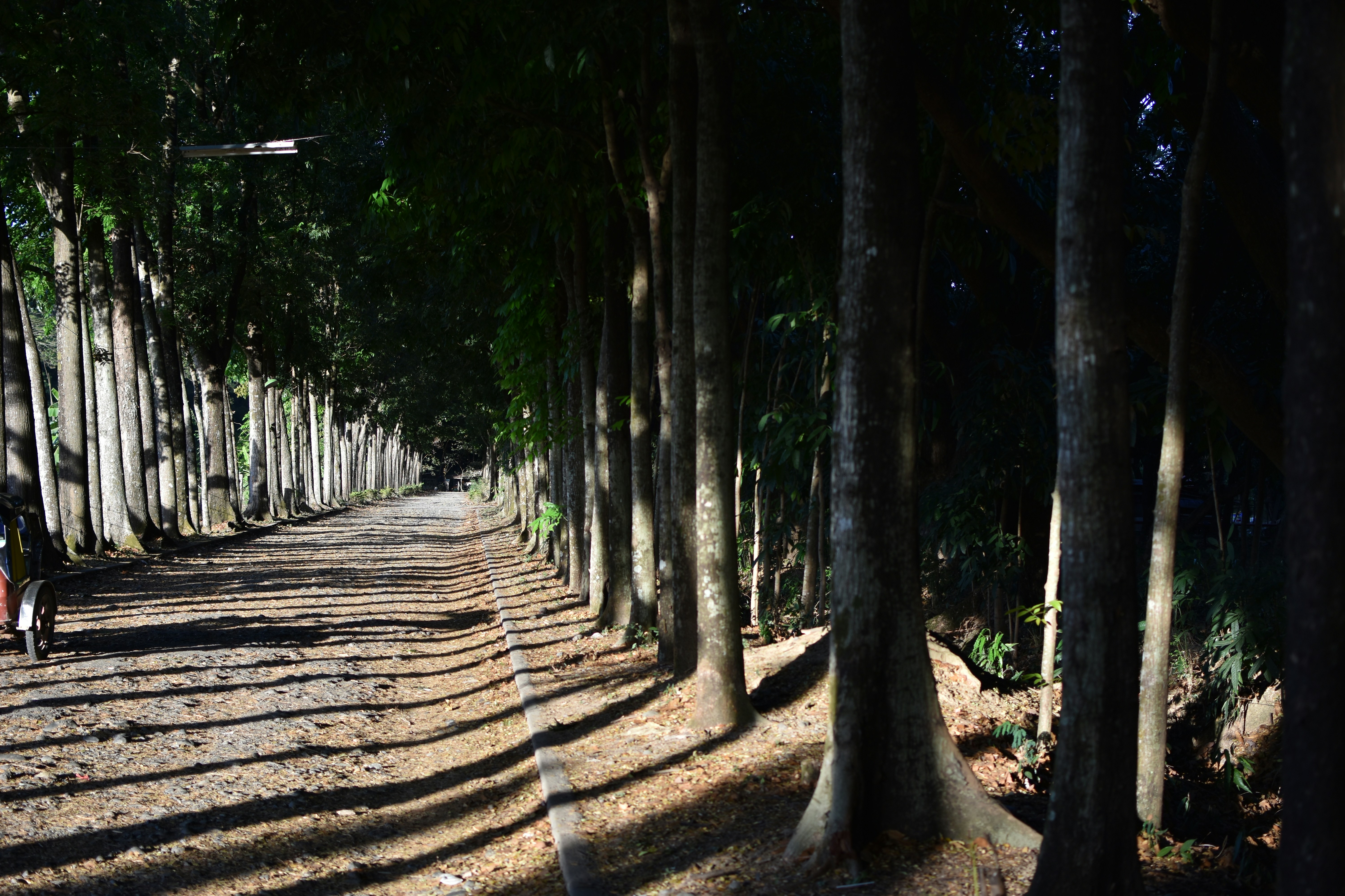 Photo by melvinroyvidal