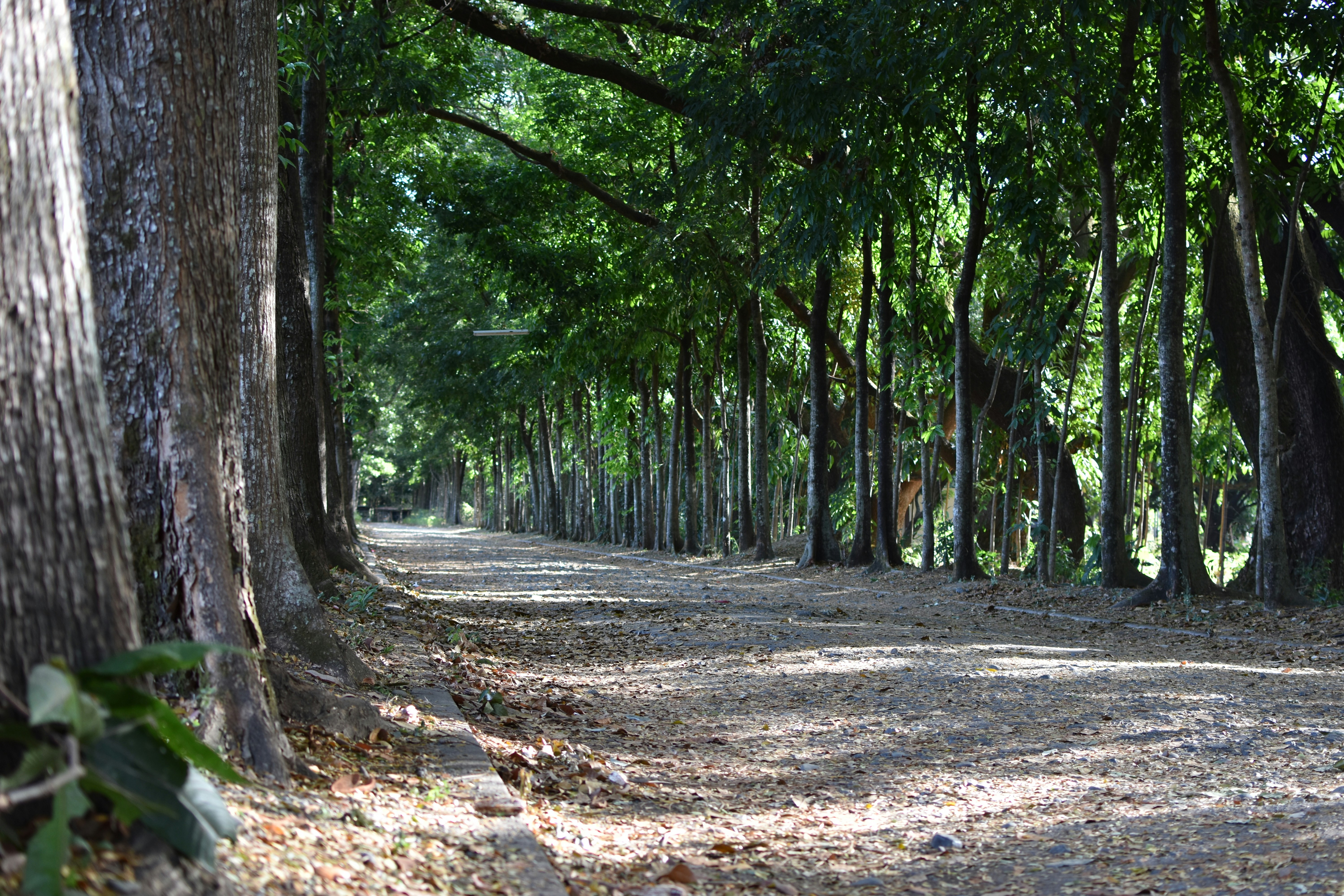 Photo by melvinroyvidal