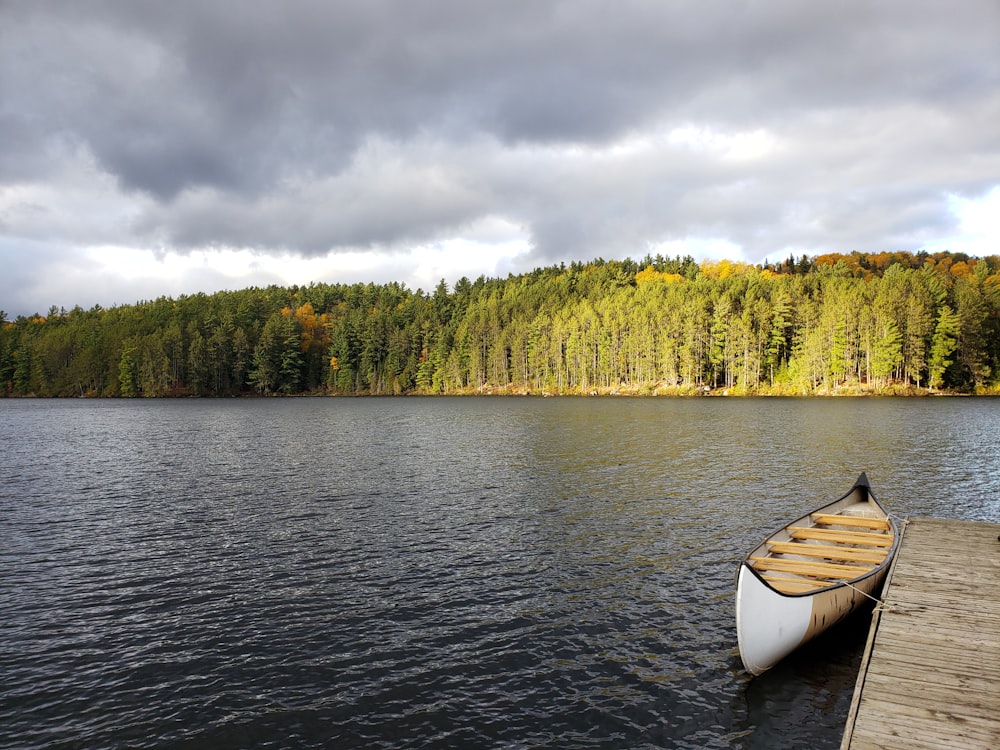 white boat on lake near green trees under gray clouds