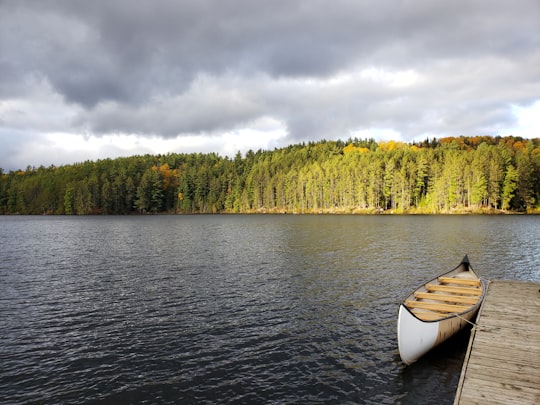 white boat on lake near green trees under gray clouds in Algonquin Park Canada